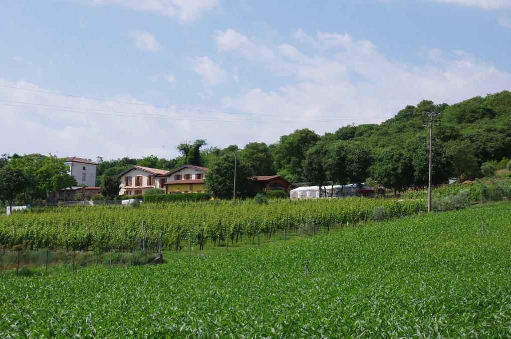 Agriturismo Casa Villi 苏法利诺 外观 照片